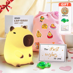 Cute Axolotl Gift Set